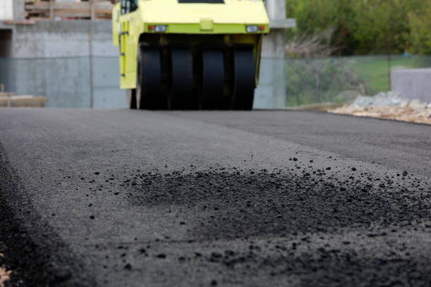 Best Driveway Paving Contractor  in Crandon, WI